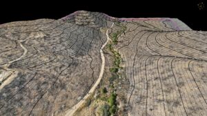contours1